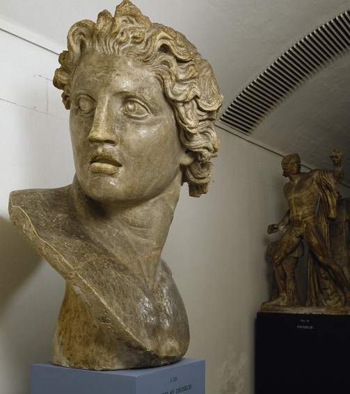 Hoved af Dioskur, gipsafstøbning efter antik skulptur, L 123 